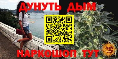 МДПВ Партизанск