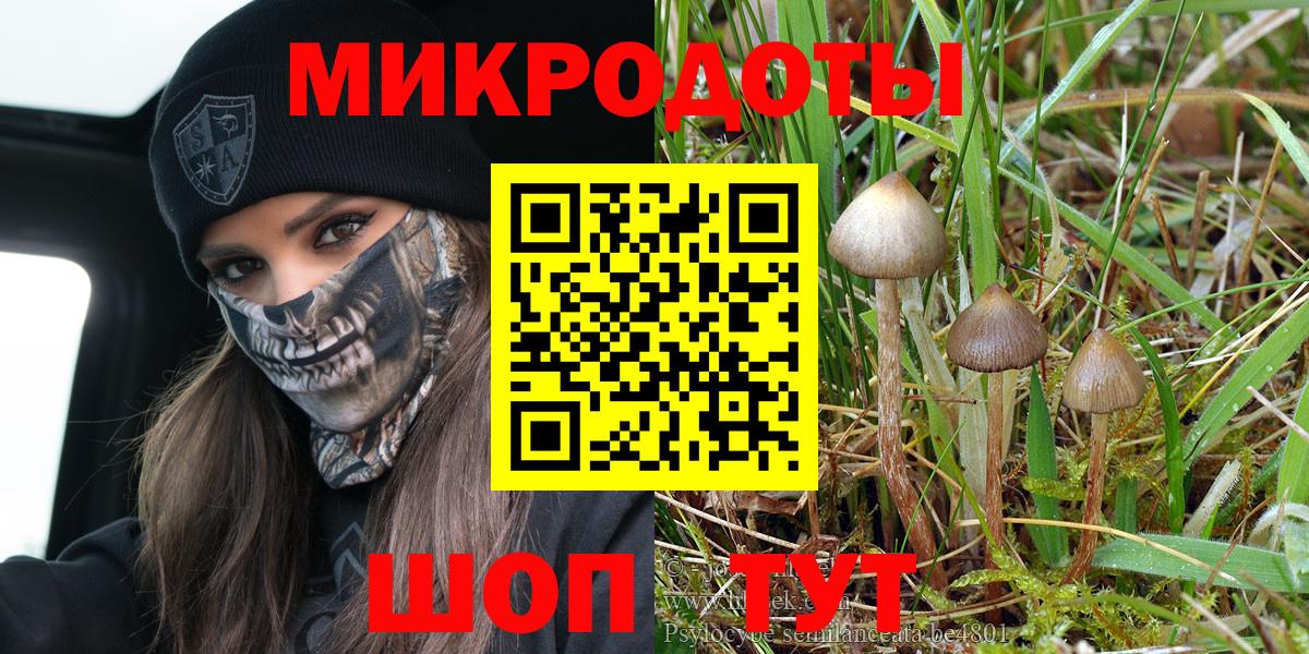 Псилоцибиновые грибы ЛСД Тулун
