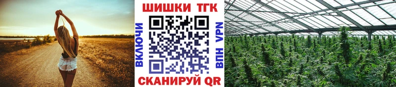 Бошки Шишки планчик  Тулун 