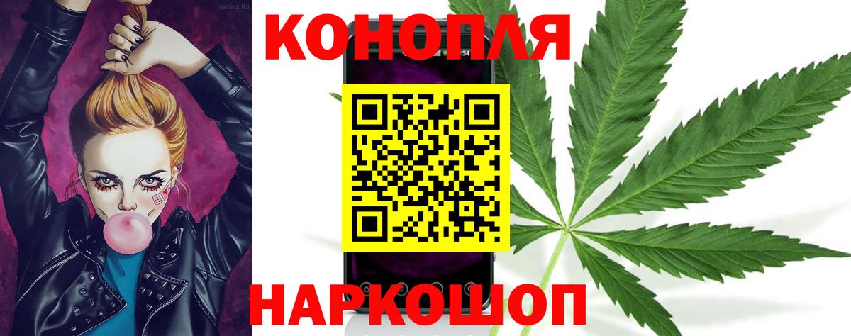 Марихуана сатива  Марихуана план  Бошки Шишки план  Вход с VPN  Тулун  Каннабис планчик 
